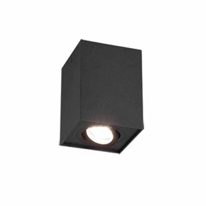 Plafón BISCUI Negro con Foco - TRIO Lighting - Image 1