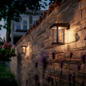 Aplique Camill R LED 1×1,4W 3000K Solar Ultra Eficiente con Sensor Negro T IP44 – Philips - Imagen 4