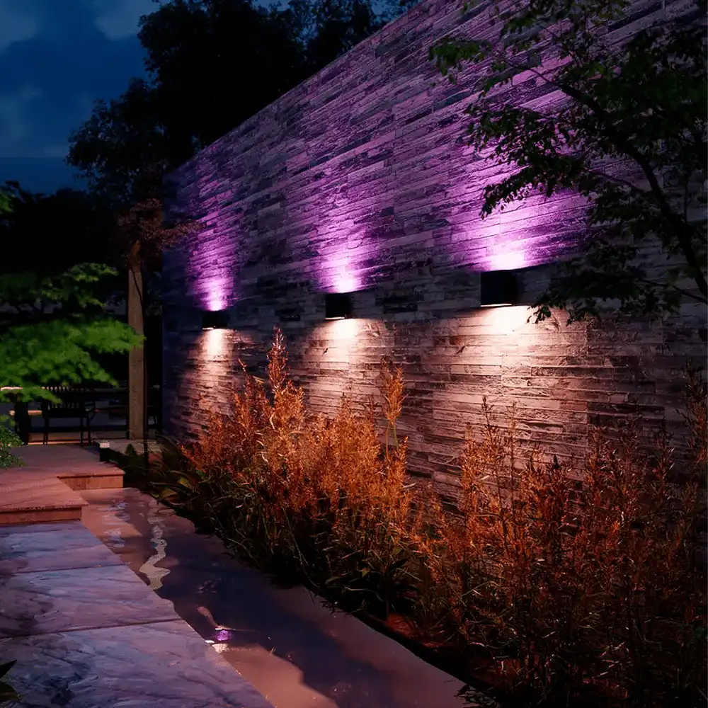Aplique exterior Dymera Philips Hue negro iluminando muro de jardín con luz blanca y rosa.