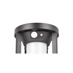 Aplique Solar LED CARMO 20cm 2W 130lm 3000K IP54 con Sensor - TRIO Lighting - Imagen 2