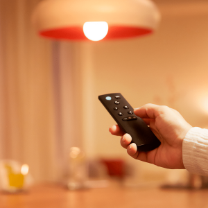 Control Remoto para Sistema WiZ Philips - Imagen 5