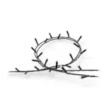 Guirnalda Philips Hue Festavia 500 luces LED RGB vista extendida