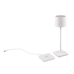 Lámpara Exterior LED FERNANDEZ 1.5W 130lm IP44 con Estación de Carga - TRIO Lighting - Imagen 2