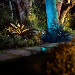 Pincho Lily XL Extensión 24V Philips Hue Negro White & Colors - Imagen 5