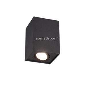 Plafón BISCUI Negro con Foco - TRIO Lighting - Imagen 1