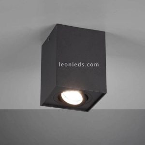 Plafón BISCUI Negro con Foco - TRIO Lighting - Imagen 2