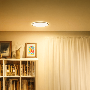 Plafón de Techo SuperSlim LED 22W Philips WiZ Negro 2700K–6500K – Philips - Imagen 5