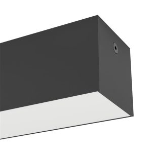 Plafón LED Exterior SALITTA Alargado 58×5,5 cm 14W 1680 lm 3000K IP65 – Eglo - Imagen 4