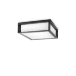 Plafón de techo Skies antracita Philips IP44 sin bombilla vista lateral